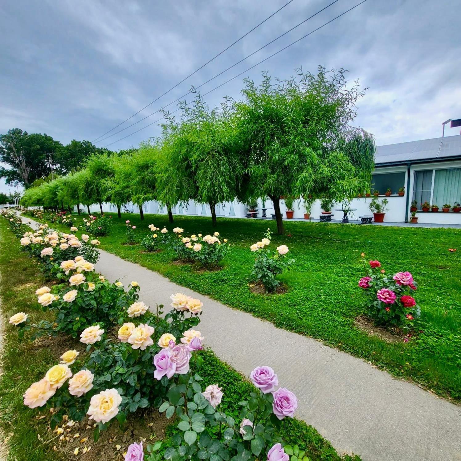 Hotel Royal Park Complex Bascov Esterno foto